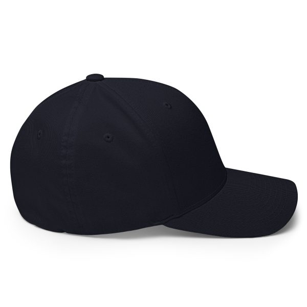 RideAlong FlexFit Cap - Image 5